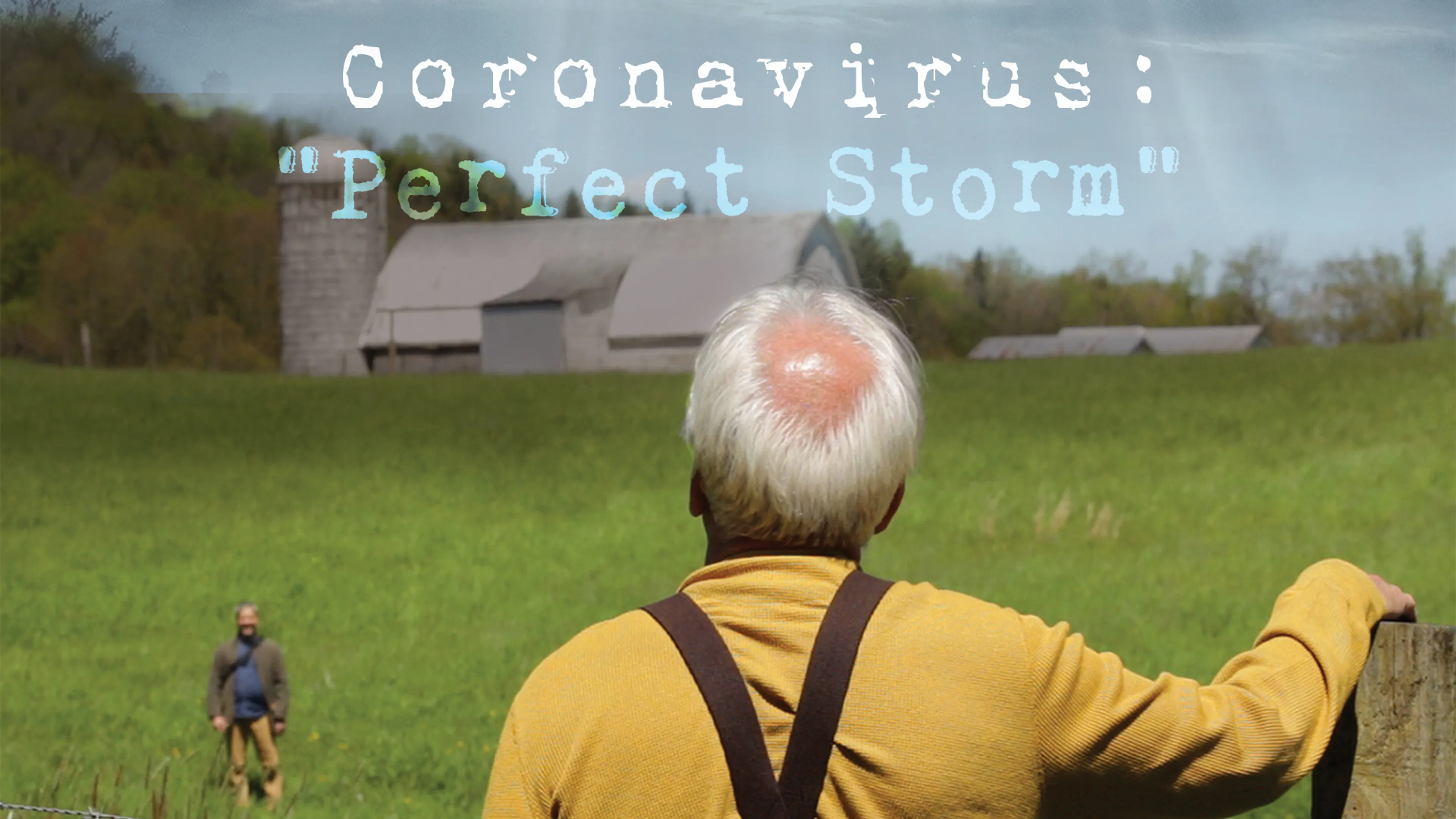 Coronavirus: Perfect Storm poster